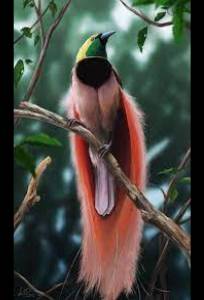 Райские птицы (сериал 2021)